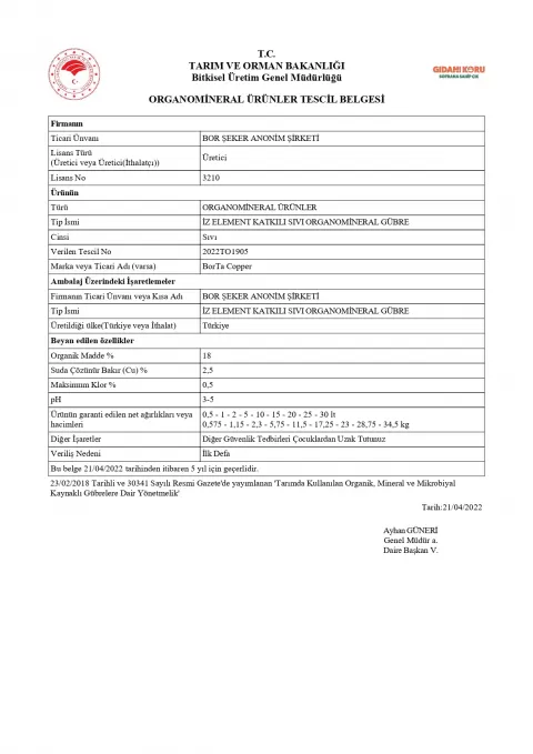 Tescil Belgesi BorTa Copper