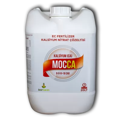 MOCCA