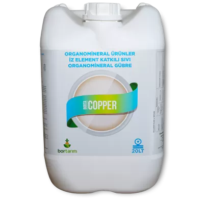 BORTA COPPER